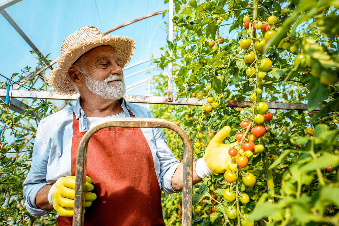 Developing a More Inclusive Food Future