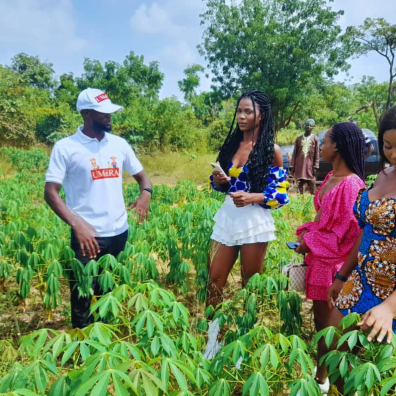 Umera-Royal-Palm-Plantation-farm-visitation-800x800